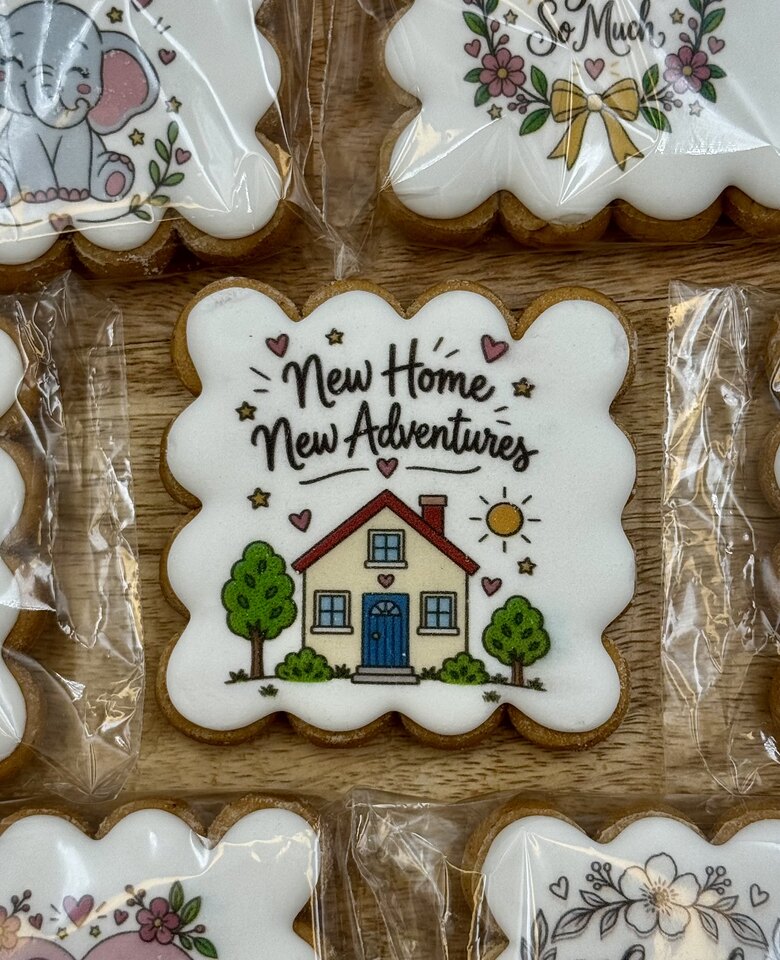 New Home New Adventures, Ready coloured